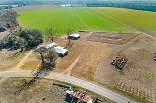 664 Boyd School Rd, Sylvania, GA 30467 - Photo 29