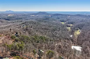 232 Ranch Mountain Dr, Dahlonega, GA 30533 - Photo 71