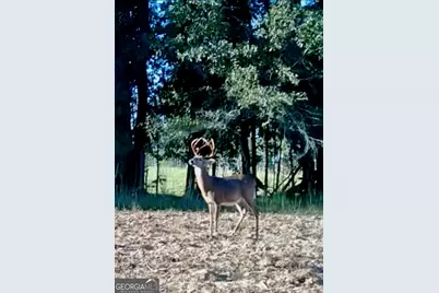 1027 Sparta Highway, Sparta, GA 31087 - Photo 27