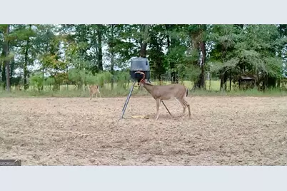 1027 Sparta Highway, Sparta, GA 31087 - Photo 23