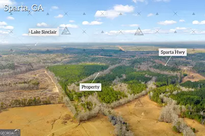 1027 Sparta Highway, Sparta, GA 31087 - Photo 17