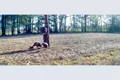 1027 Sparta Highway, Sparta, GA 31087 - Photo 29