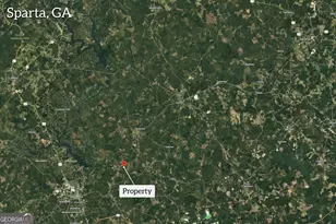 1027 Sparta Hwy, Sparta, GA 31087 - Photo 1