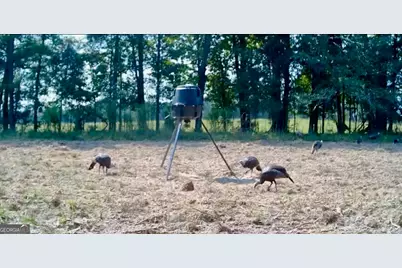 1027 Sparta Highway, Sparta, GA 31087 - Photo 31