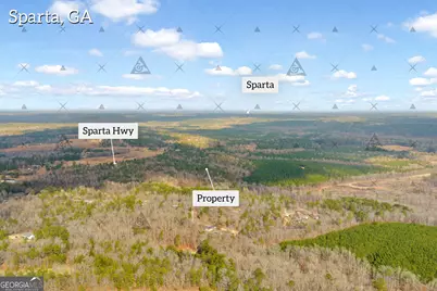 1027 Sparta Highway, Sparta, GA 31087 - Photo 15