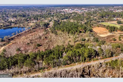 0 Randall Whiddon Drive, Ashburn, GA 31714 - Photo 11