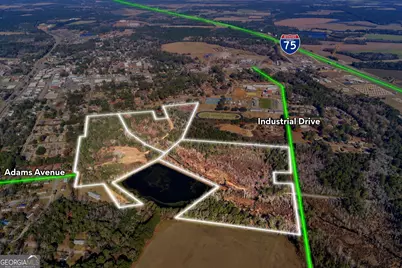 0 Randall Whiddon Drive, Ashburn, GA 31714 - Photo 15