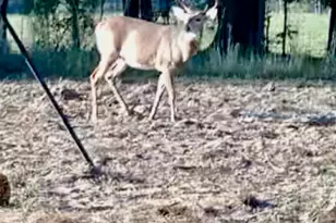 1027 Sparta Hwy, Sparta, GA 31087 - Photo 27