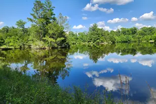 3524 Moss Island Ct, Albany, GA 31721 - Photo 21