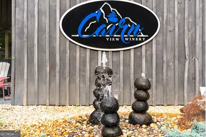 253 Happy Trails Way, Jasper, GA 30143 - Photo 9