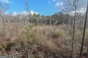 1780 Harden Rd, Zebulon, GA 30295 - Photo 53