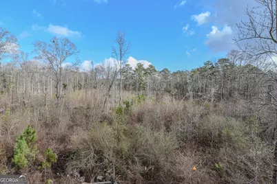 1780 Harden Road, Zebulon, GA 30295 - Photo 55