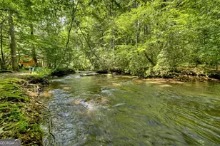 251 Rockhouse Road, Cherry Log, GA 30522 - Photo 35