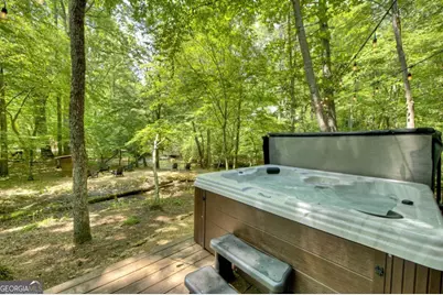 251 Rockhouse Road, Cherry Log, GA 30522 - Photo 27