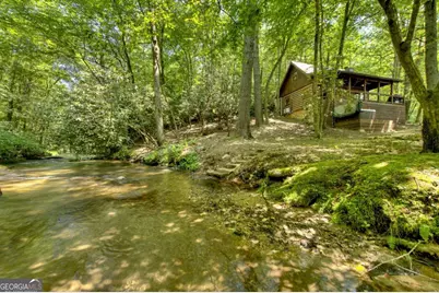 251 Rockhouse Road, Cherry Log, GA 30522 - Photo 37