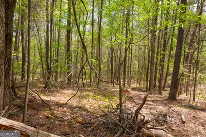 2178 Hillwood Drive NE, Conyers, GA 30012 - Photo 13