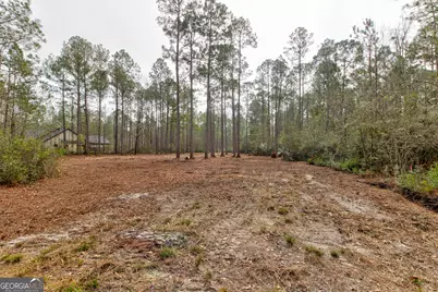 1743 Shawnee Egypt Road, Springfield, GA 31329 - Photo 27