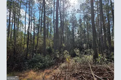 1743 Shawnee Egypt Road, Springfield, GA 31329 - Photo 19