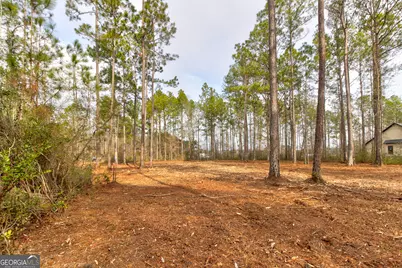 1743 Shawnee Egypt Road, Springfield, GA 31329 - Photo 25