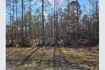 1743 Shawnee Egypt Road, Springfield, GA 31329 - Photo 15