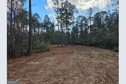 1743 Shawnee Egypt Road, Springfield, GA 31329 - Photo 5