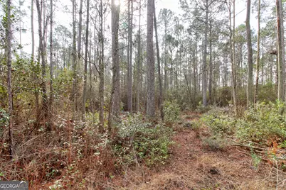 1743 Shawnee Egypt Road, Springfield, GA 31329 - Photo 23