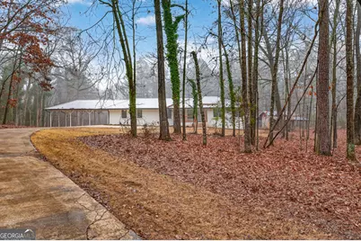 922 Linch Road, Senoia, GA 30276 - Photo 67