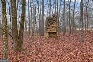 922 Linch Rd, Senoia, GA 30276 - Photo 71