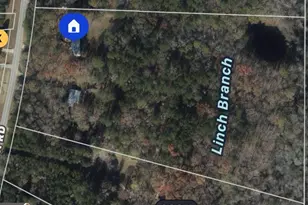 922 Linch Rd, Senoia, GA 30276 - Photo 87