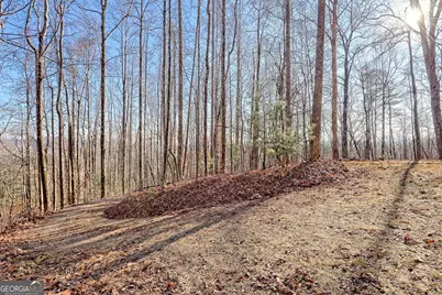 770 Glassy Mtn Road, Tiger, GA 30576 - Photo 67