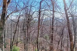 770 Glassy Mtn Rd, Tiger, GA 30576 - Photo 71