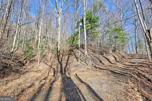 770 Glassy Mtn Rd, Tiger, GA 30576 - Photo 69