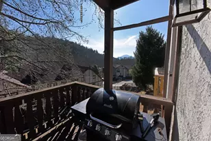 327 Brucken Strasse, Helen, GA 30545 - Photo 11