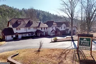 327 Brucken Strasse, Helen, GA 30545 - Photo 1