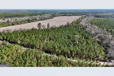 12 Ac Owens Road, Odum, GA 31555 - Photo 1
