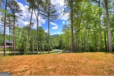 2461 Salem, Mineral Bluff, GA 30559 - Photo 9