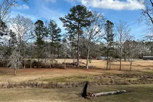 206 Ann Murphy Rd, West Point, GA 31833 - Photo 47