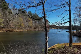 Lot 158 Snug Harbor Pl, Newnan, GA 30263 - Photo 71