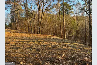 331 Paladin Drive NE, Ranger, GA 30734 - Photo 5