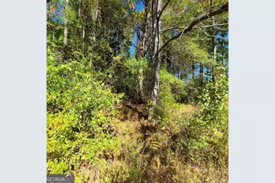 0 Scarlett Lane, Rome, GA 30161 - Photo 3