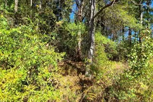 0 Scarlett Ln, Rome, GA 30161 - Photo 3