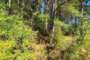 0 Scarlett Ln, Rome, GA 30161 - Photo 17