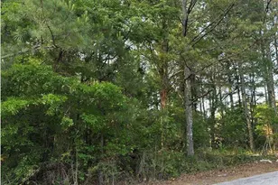 0 Scarlett Ln, Rome, GA 30161 - Photo 5