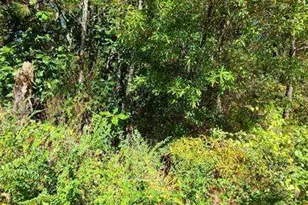 0 Scarlett Ln, Rome, GA 30161 - Photo 15