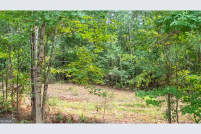 0 Durand Highway, Warm Springs, GA 31830 - Photo 5