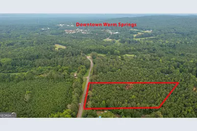 0 Durand Highway, Warm Springs, GA 31830 - Photo 1