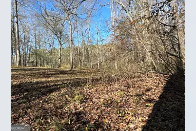 198 Sweetwater Trail, Villa Rica, GA 30180 - Photo 43