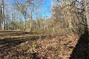 198 Sweetwater Trail, Villa Rica, GA 30180 - Photo 43