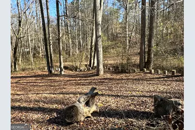 198 Sweetwater Trail, Villa Rica, GA 30180 - Photo 47