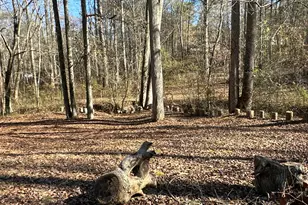 198 Sweetwater Trail, Villa Rica, GA 30180 - Photo 47